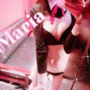 ヒメ日記 2025/11/27 11:56 投稿 まりあ【高身長】【パイパン】 ドMな逆バニーちゃん　すすきの店