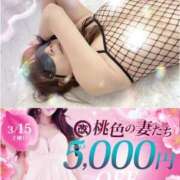 ヒメ日記 2025/03/11 22:18 投稿 あさみ 柏人妻花壇