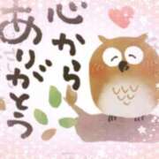 ヒメ日記 2025/03/20 17:43 投稿 あさみ 柏人妻花壇