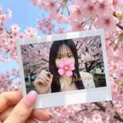 ヒメ日記 2026/04/12 11:12 投稿 えみり Polaris（ポラリス）