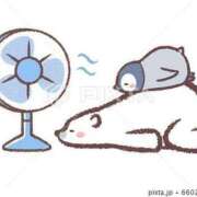 ヒメ日記 2025/07/03 14:20 投稿 みく 妻天 尼崎店