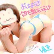 ヒメ日記 2025/02/07 11:26 投稿 ゆき ままどーる