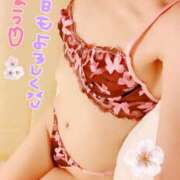 ヒメ日記 2025/02/12 11:01 投稿 ゆき ままどーる