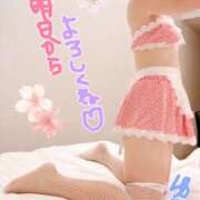 ヒメ日記 2025/04/02 19:20 投稿 ゆき ままどーる