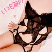 ヒメ日記 2025/04/04 17:51 投稿 ゆき ままどーる