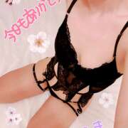 ヒメ日記 2025/04/05 00:02 投稿 ゆき ままどーる