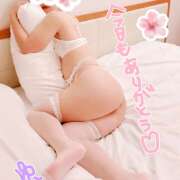 ヒメ日記 2025/04/06 00:41 投稿 ゆき ままどーる