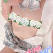 ヒメ日記 2025/06/09 10:28 投稿 ゆき ままどーる