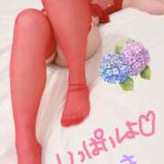 ヒメ日記 2025/06/16 22:31 投稿 ゆき ままどーる