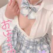 ヒメ日記 2025/06/18 10:30 投稿 ゆき ままどーる