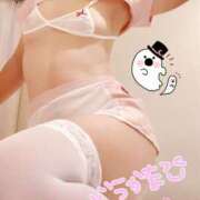 ヒメ日記 2025/10/31 16:30 投稿 ゆき ままどーる