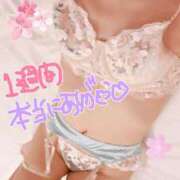 ヒメ日記 2026/03/07 01:36 投稿 ゆき ままどーる