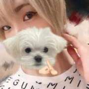 ヒメ日記 2025/09/08 13:47 投稿 青花しおん ハプニング痴漢電車or全裸入室