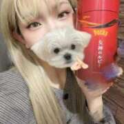 ヒメ日記 2025/12/08 13:53 投稿 青花しおん ハプニング痴漢電車or全裸入室