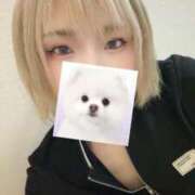 ヒメ日記 2025/12/29 19:17 投稿 青花しおん ハプニング痴漢電車or全裸入室