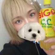 ヒメ日記 2026/04/20 21:07 投稿 青花しおん ハプニング痴漢電車or全裸入室