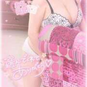 ヒメ日記 2025/02/02 05:00 投稿 白瀬（しらせ） 熟女の風俗最終章 名古屋店