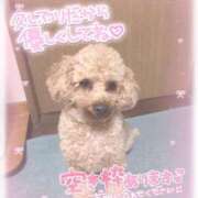 ヒメ日記 2025/02/05 16:22 投稿 白瀬（しらせ） 熟女の風俗最終章 名古屋店