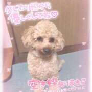 ヒメ日記 2025/02/25 01:20 投稿 白瀬（しらせ） 熟女の風俗最終章 名古屋店