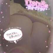 ヒメ日記 2025/04/08 21:53 投稿 白瀬（しらせ） 熟女の風俗最終章 名古屋店