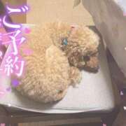 ヒメ日記 2025/04/15 14:56 投稿 白瀬（しらせ） 熟女の風俗最終章 名古屋店