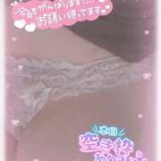 ヒメ日記 2025/04/15 17:00 投稿 白瀬（しらせ） 熟女の風俗最終章 名古屋店