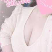 ヒメ日記 2025/04/27 13:37 投稿 白瀬（しらせ） 熟女の風俗最終章 名古屋店