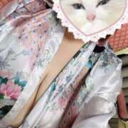 ヒメ日記 2025/04/29 11:40 投稿 白瀬（しらせ） 熟女の風俗最終章 名古屋店