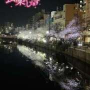 ヒメ日記 2025/05/07 14:36 投稿 白瀬（しらせ） 熟女の風俗最終章 名古屋店