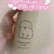 ヒメ日記 2025/06/20 13:22 投稿 白瀬（しらせ） 熟女の風俗最終章 名古屋店