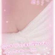 ヒメ日記 2025/06/24 13:22 投稿 白瀬（しらせ） 熟女の風俗最終章 名古屋店