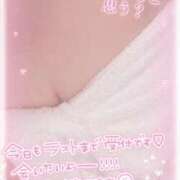 ヒメ日記 2025/06/29 12:49 投稿 白瀬（しらせ） 熟女の風俗最終章 名古屋店