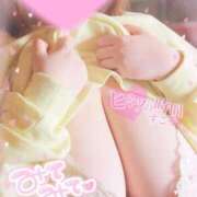 ヒメ日記 2025/08/27 11:33 投稿 白瀬（しらせ） 熟女の風俗最終章 名古屋店