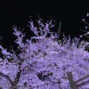 ヒメ日記 2025/10/30 16:12 投稿 白瀬（しらせ） 熟女の風俗最終章 名古屋店