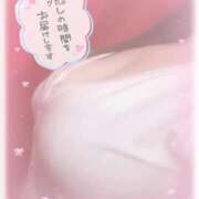 ヒメ日記 2025/11/03 16:31 投稿 白瀬（しらせ） 熟女の風俗最終章 名古屋店