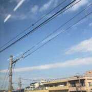 ヒメ日記 2025/11/08 16:43 投稿 白瀬（しらせ） 熟女の風俗最終章 名古屋店