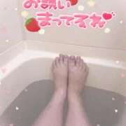 ヒメ日記 2026/01/25 11:02 投稿 白瀬（しらせ） 熟女の風俗最終章 名古屋店