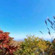 ヒメ日記 2026/02/06 10:22 投稿 白瀬（しらせ） 熟女の風俗最終章 名古屋店