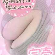 ヒメ日記 2026/02/23 15:23 投稿 白瀬（しらせ） 熟女の風俗最終章 名古屋店