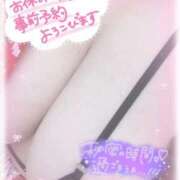 ヒメ日記 2026/03/24 09:52 投稿 白瀬（しらせ） 熟女の風俗最終章 名古屋店