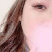 ヒメ日記 2025/03/20 10:39 投稿 みなみ 京都祇園・南インターちゃんこ