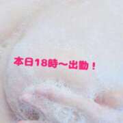 ヒメ日記 2025/03/30 11:39 投稿 みなみ 京都祇園・南インターちゃんこ