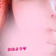 ヒメ日記 2025/04/02 08:09 投稿 みなみ 京都祇園・南インターちゃんこ