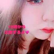 ヒメ日記 2025/04/02 16:01 投稿 みなみ 京都祇園・南インターちゃんこ