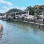 ヒメ日記 2025/04/08 08:27 投稿 みなみ 京都祇園・南インターちゃんこ