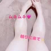 ヒメ日記 2025/04/28 13:11 投稿 みなみ 京都祇園・南インターちゃんこ