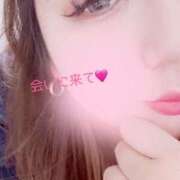 ヒメ日記 2025/05/17 10:14 投稿 みなみ 京都祇園・南インターちゃんこ