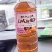 ヒメ日記 2025/06/02 08:42 投稿 みなみ 京都祇園・南インターちゃんこ