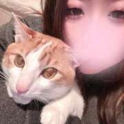 ヒメ日記 2025/06/15 13:00 投稿 みなみ 京都祇園・南インターちゃんこ