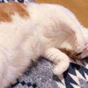 ヒメ日記 2025/06/19 21:17 投稿 みなみ 京都祇園・南インターちゃんこ